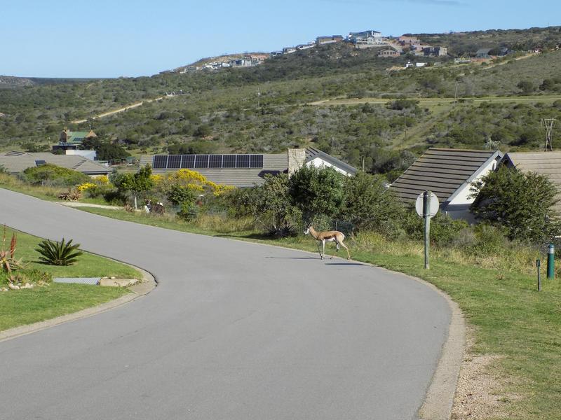 0 Bedroom Property for Sale in Num Num Cape Estate Western Cape